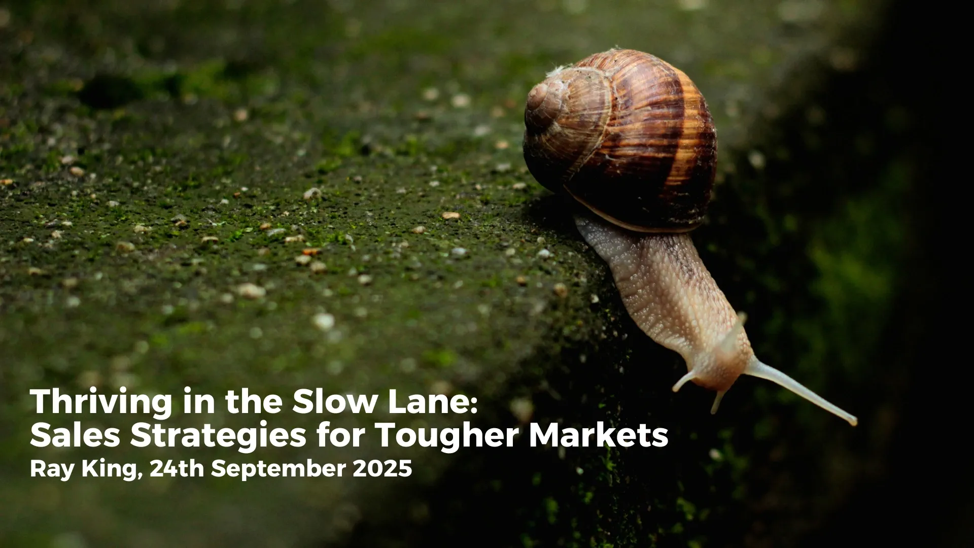 thriving in the slow lane